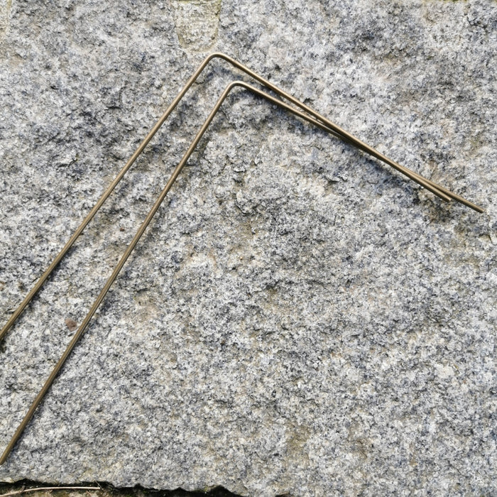 Wünschelrute paarweise, 24x16 cm