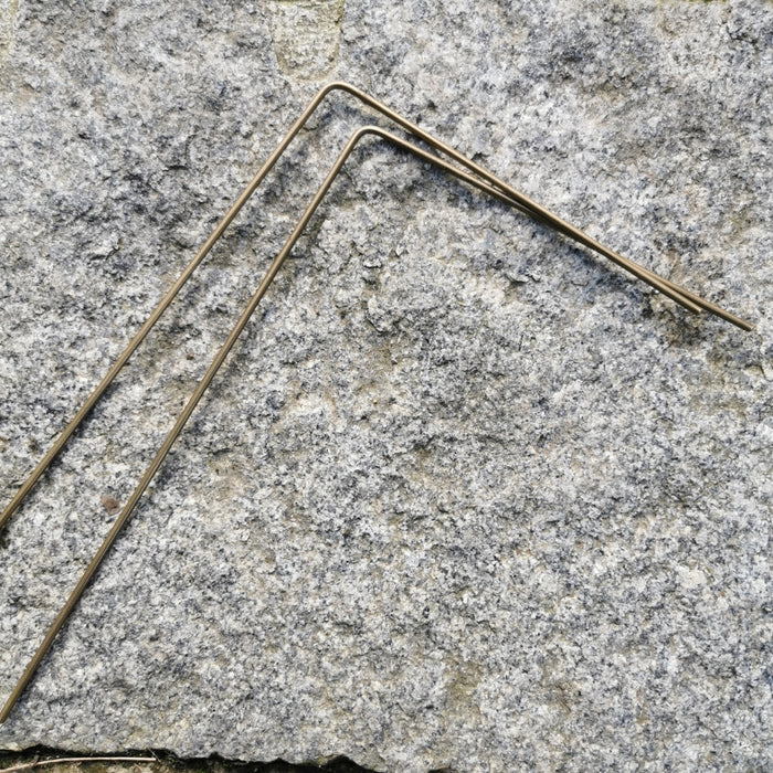 Wünschelrute paarweise,  24x16 cm